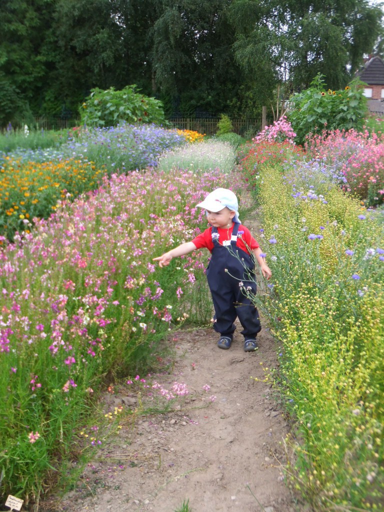 Kita Kid Zone Kinderbetreuung
