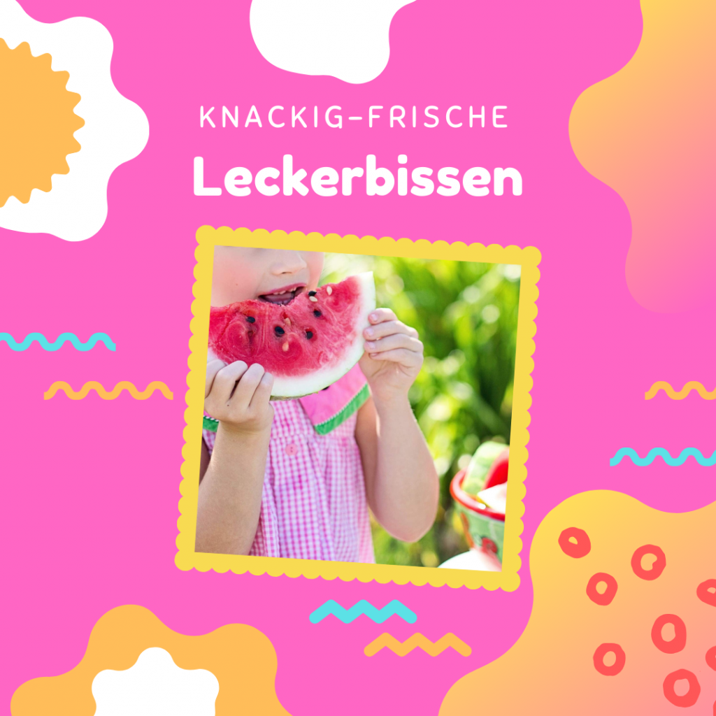 Kita Kid Zone Kinderbetreuung